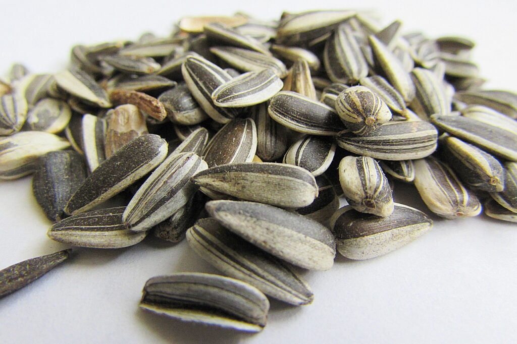 Super Seeds for Overall Health: Benefits and Easy Ways to Add Them to Your Diet