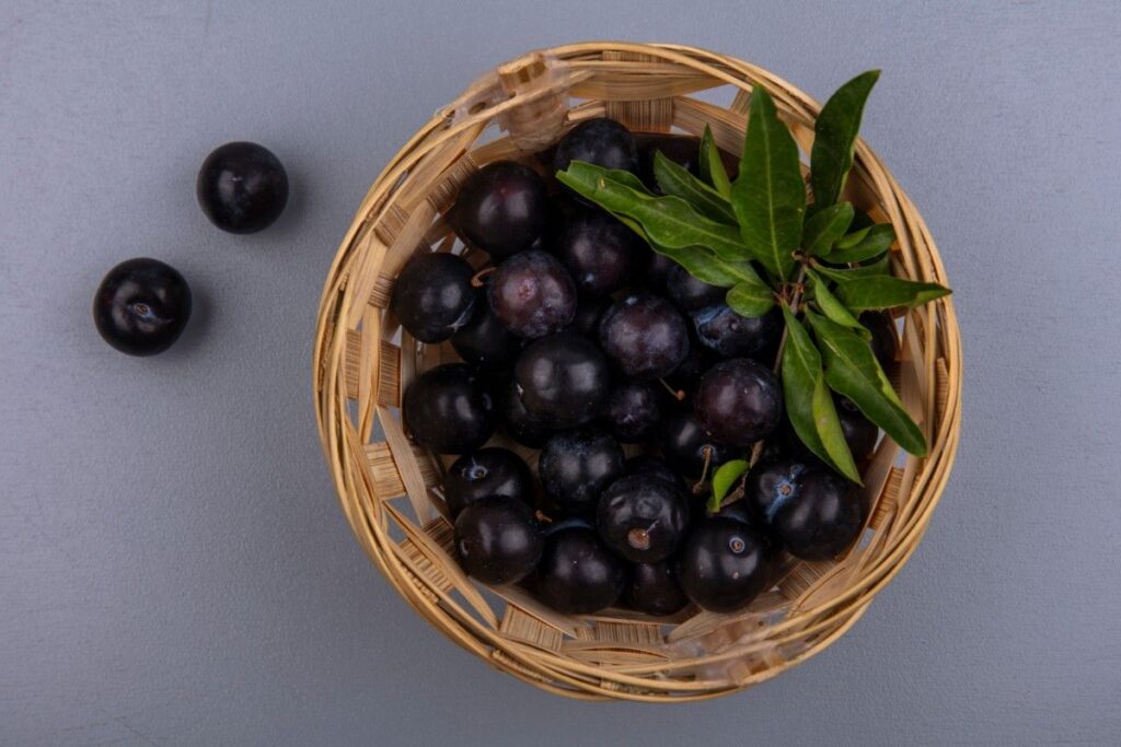 Why You Shouldn’t Miss Jamun This Season: Top Health Benefits of the Purple Superfruit